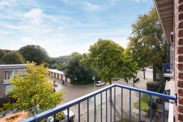 Roemer Visscherstraat 447, Den Haag