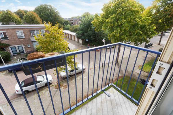 Roemer Visscherstraat 447, Den Haag