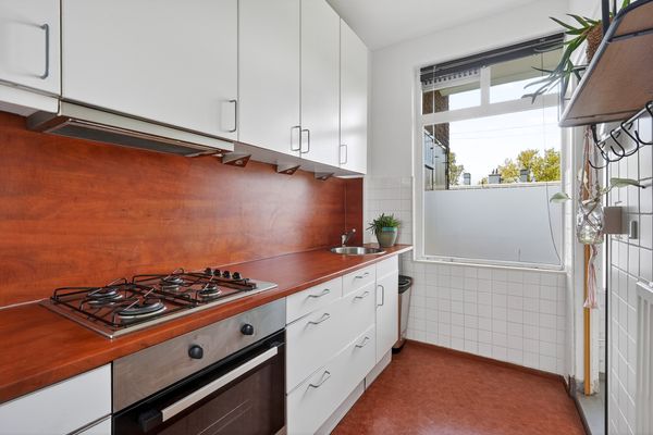 Roemer Visscherstraat 447, Den Haag