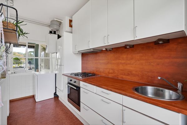 Roemer Visscherstraat 447, Den Haag