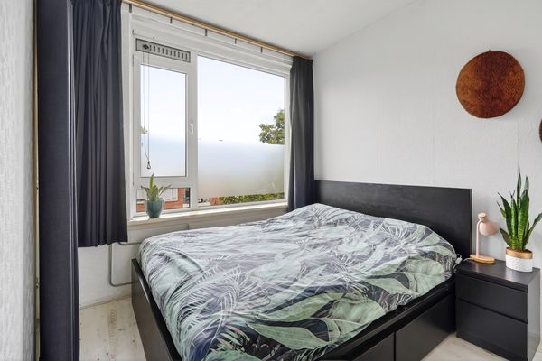 Roemer Visscherstraat 447, Den Haag