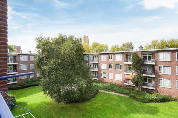 Roemer Visscherstraat 447, Den Haag