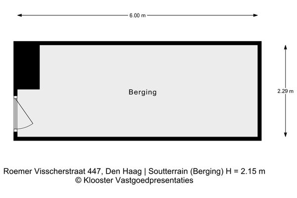 Roemer Visscherstraat 447, Den Haag