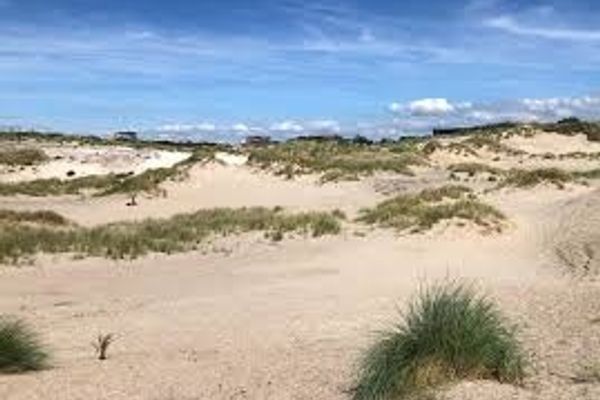 Zwolsestraat 390, Den Haag