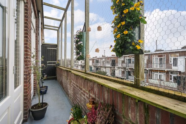 Citroenstraat 15, Den Haag