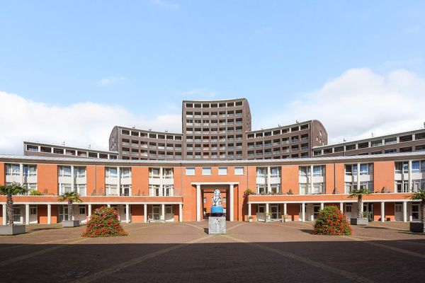 Bocht van Guinea 41, Den Haag