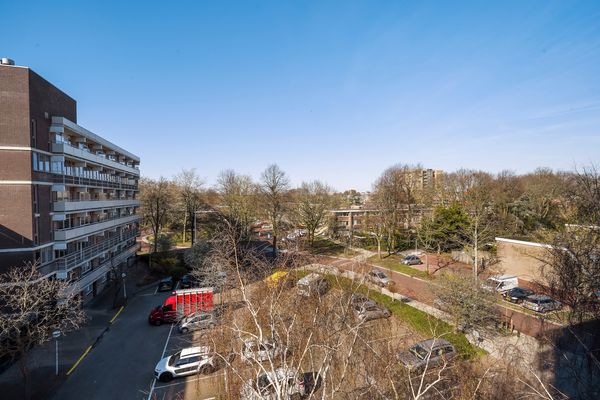 De Brink 810, Den Haag