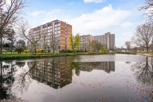 Louis Davidsstraat 613