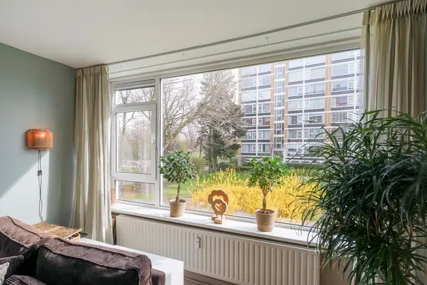 Louis Davidsstraat 613, Den Haag