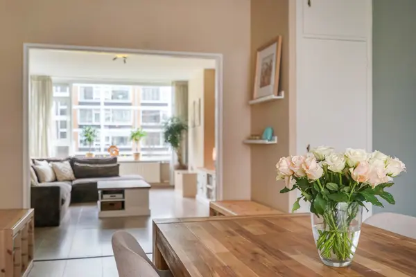Louis Davidsstraat 613, Den Haag