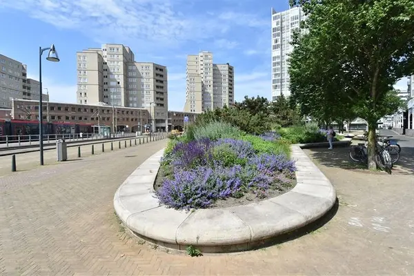 Palaceplein 19, Den Haag