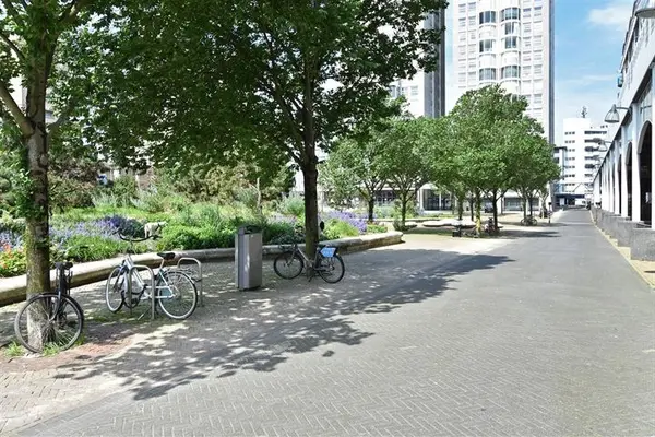 Palaceplein 19, Den Haag