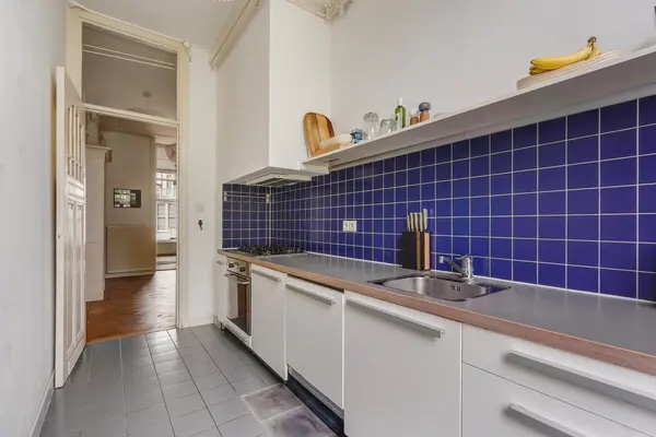 Snelliusstraat 22, Den Haag