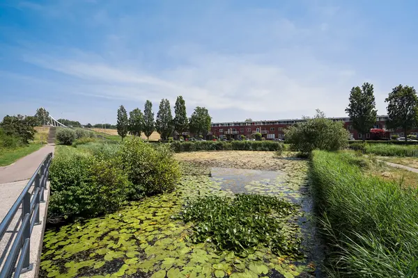 Ebbehout 29, Zoetermeer