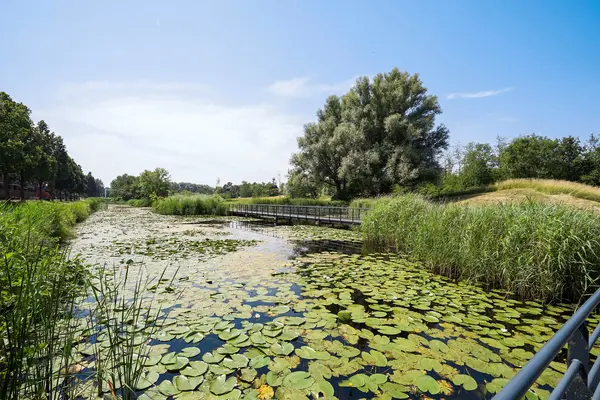 Ebbehout 29, Zoetermeer