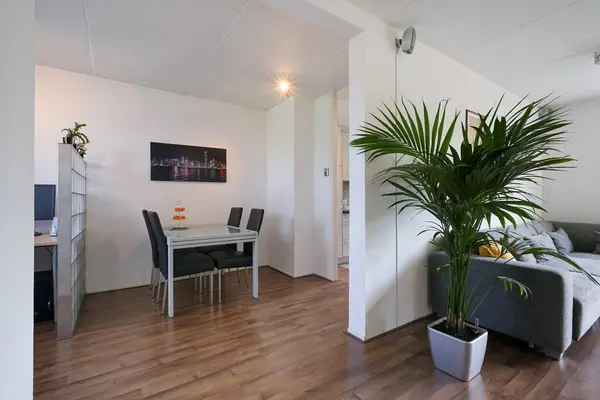 Sepiahof 17, Voorburg