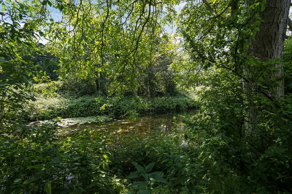 Sepiahof 17, Voorburg