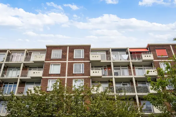 Ranonkelstraat 267, Den Haag