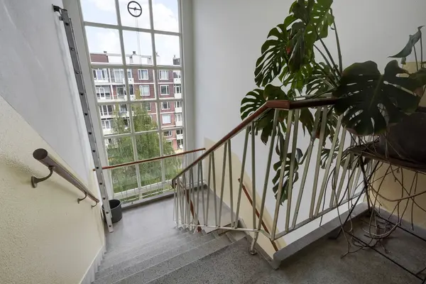 Ranonkelstraat 267, Den Haag
