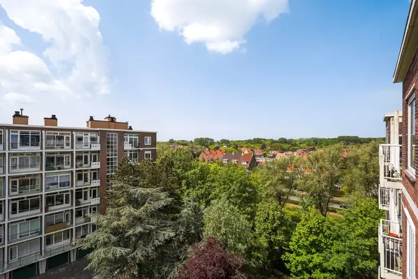 Ranonkelstraat 267, Den Haag