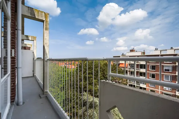 Ranonkelstraat 267, Den Haag