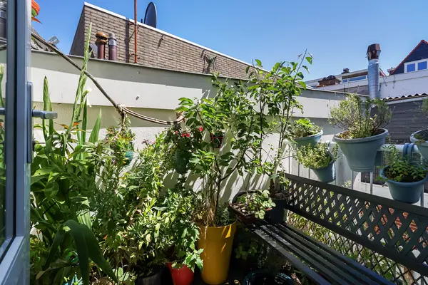 Regentesselaan 378, Den Haag