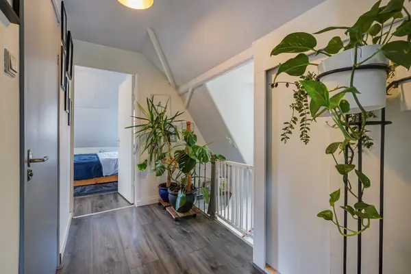 Regentesselaan 378, Den Haag