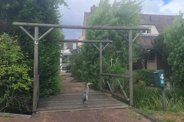 Druivenlaan 4, Den Haag