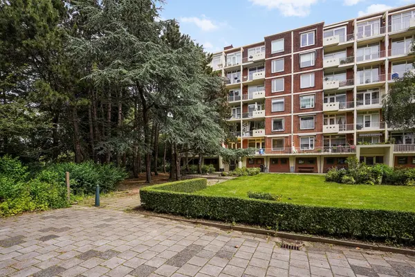 Ranonkelstraat 171, Den Haag