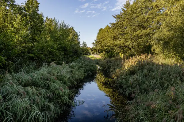 Riederstee 35, BARENDRECHT