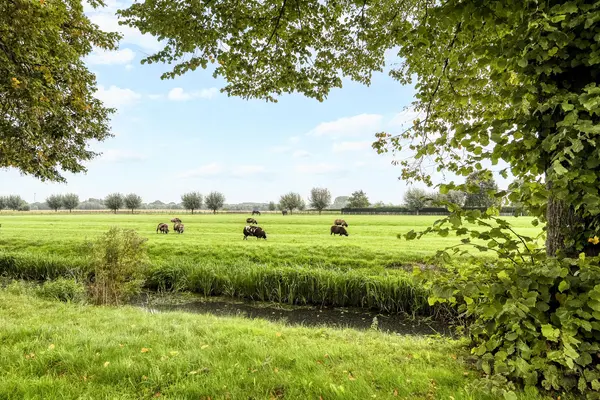 Oosteinde 1, HEERJANSDAM