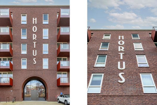 Fascinatio Boulevard 704K