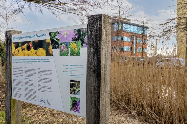 Fascinatio Boulevard 704K, CAPELLE AAN DEN IJSSEL