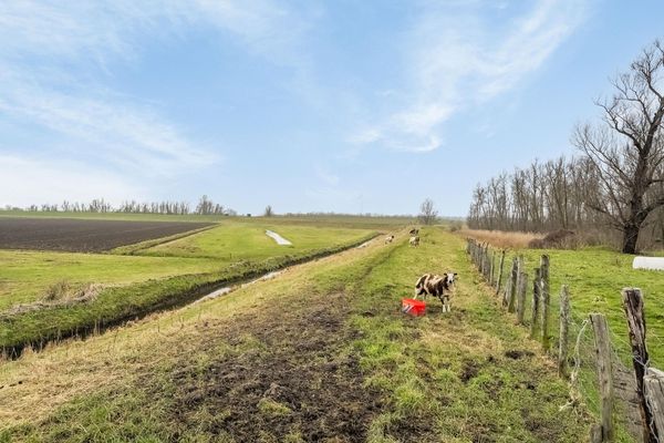 Lindtsedijk 23, HEERJANSDAM