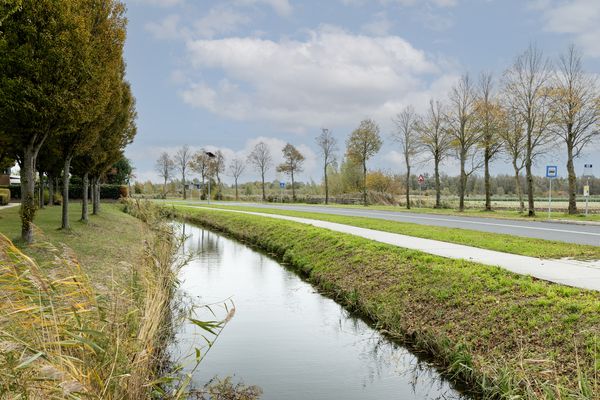 Waterlelie 14, HEERJANSDAM