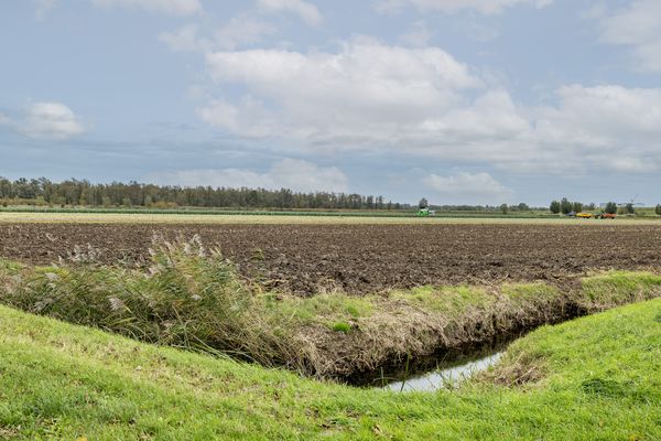 Waterlelie 14, HEERJANSDAM