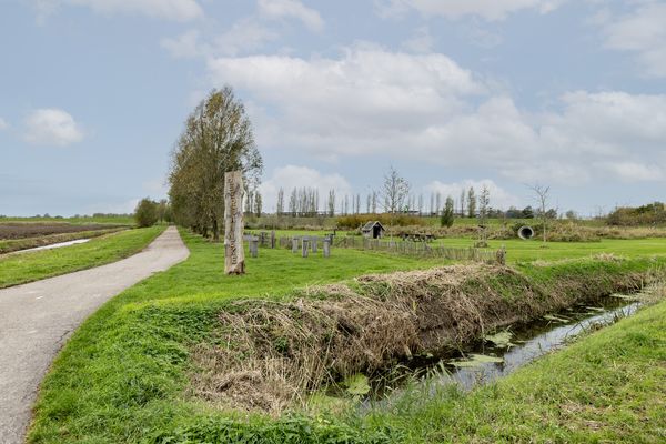 Waterlelie 14, HEERJANSDAM