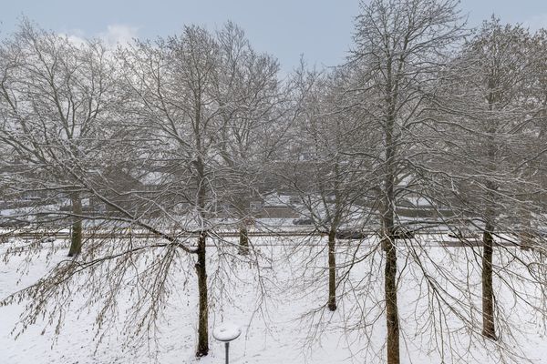 Warande 61, ROTTERDAM