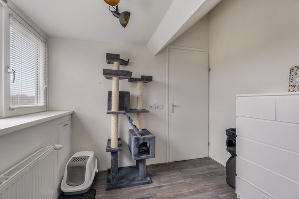 Kamperfoelie 19, POORTUGAAL