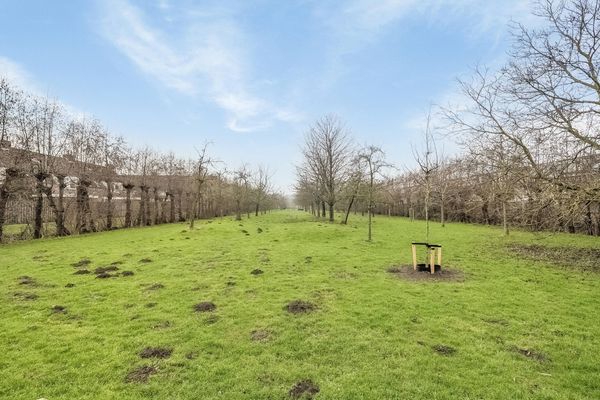 Kamperfoelie 19, POORTUGAAL