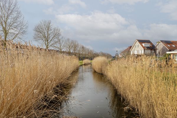 Riedermorgen 79, BARENDRECHT