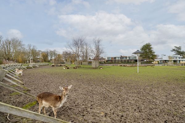 Zwaluwenlaan 52, RHOON