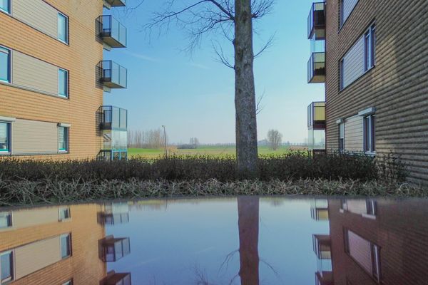 Selma Lagerlöfstraat 26, SPIJKENISSE