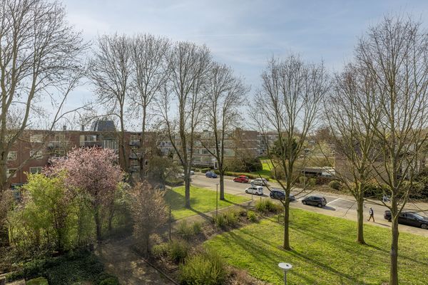 Nieuwenoord 94, ROTTERDAM