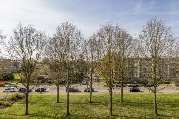 Nieuwenoord 94, ROTTERDAM