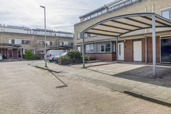 Damhertstraat 41, ROTTERDAM