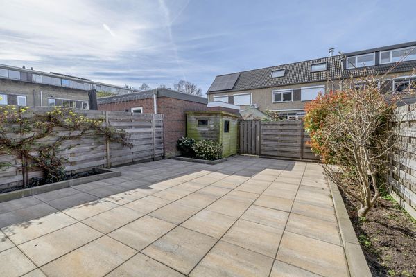 Damhertstraat 41, ROTTERDAM