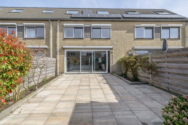 Damhertstraat 41, ROTTERDAM