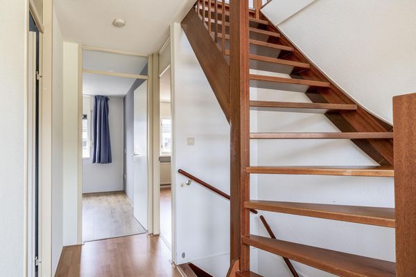 Damhertstraat 41, ROTTERDAM