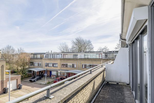 Damhertstraat 41, ROTTERDAM